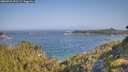 ./images/calvert/foggy-cove/20260721/foggy-cove20260721_091501M.jpg