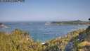 ./images/calvert/foggy-cove/20260721/foggy-cove20260721_092001M.jpg