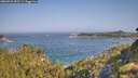 ./images/calvert/foggy-cove/20260721/foggy-cove20260721_092501M.jpg