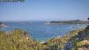 ./images/calvert/foggy-cove/20260721/foggy-cove20260721_093501M.jpg