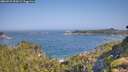 ./images/calvert/foggy-cove/20260721/foggy-cove20260721_094501M.jpg
