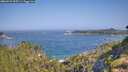 ./images/calvert/foggy-cove/20260721/foggy-cove20260721_095501M.jpg