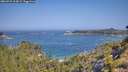 ./images/calvert/foggy-cove/20260721/foggy-cove20260721_103001M.jpg