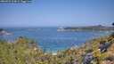 ./images/calvert/foggy-cove/20260721/foggy-cove20260721_104001M.jpg