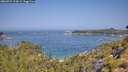 ./images/calvert/foggy-cove/20260721/foggy-cove20260721_110001M.jpg