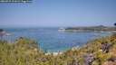 ./images/calvert/foggy-cove/20260721/foggy-cove20260721_111001M.jpg