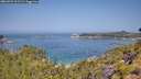 ./images/calvert/foggy-cove/20260721/foggy-cove20260721_111501M.jpg