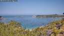 ./images/calvert/foggy-cove/20260721/foggy-cove20260721_112001M.jpg