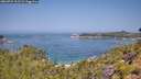 ./images/calvert/foggy-cove/20260721/foggy-cove20260721_112501M.jpg
