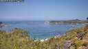 ./images/calvert/foggy-cove/20260721/foggy-cove20260721_113002M.jpg