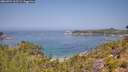 ./images/calvert/foggy-cove/20260721/foggy-cove20260721_115502M.jpg