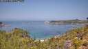 ./images/calvert/foggy-cove/20260721/foggy-cove20260721_120002M.jpg