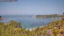 ./images/calvert/foggy-cove/20260721/foggy-cove20260721_121001M.jpg