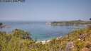 ./images/calvert/foggy-cove/20260721/foggy-cove20260721_124001M.jpg