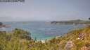 ./images/calvert/foggy-cove/20260721/foggy-cove20260721_142001M.jpg