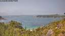 ./images/calvert/foggy-cove/20260721/foggy-cove20260721_143501M.jpg