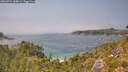 ./images/calvert/foggy-cove/20260721/foggy-cove20260721_145001M.jpg