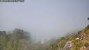 ./images/calvert/foggy-cove/20260721/foggy-cove20260721_145502M.jpg