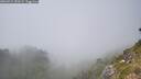 ./images/calvert/foggy-cove/20260721/foggy-cove20260721_150501M.jpg