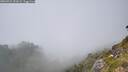 ./images/calvert/foggy-cove/20260721/foggy-cove20260721_151001M.jpg