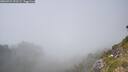 ./images/calvert/foggy-cove/20260721/foggy-cove20260721_151501M.jpg