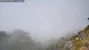 ./images/calvert/foggy-cove/20260721/foggy-cove20260721_152001M.jpg