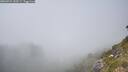 ./images/calvert/foggy-cove/20260721/foggy-cove20260721_152501M.jpg
