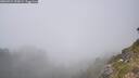 ./images/calvert/foggy-cove/20260721/foggy-cove20260721_153002M.jpg