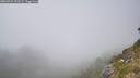 ./images/calvert/foggy-cove/20260721/foggy-cove20260721_153501M.jpg