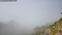 ./images/calvert/foggy-cove/20260721/foggy-cove20260721_154001M.jpg