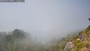 ./images/calvert/foggy-cove/20260721/foggy-cove20260721_154501M.jpg