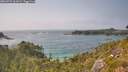 ./images/calvert/foggy-cove/20260721/foggy-cove20260721_162001M.jpg