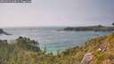 ./images/calvert/foggy-cove/20260721/foggy-cove20260721_164001M.jpg