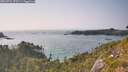 ./images/calvert/foggy-cove/20260721/foggy-cove20260721_173501M.jpg
