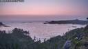 ./images/calvert/foggy-cove/20260721/foggy-cove20260721_215501M.jpg