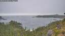 ./images/calvert/foggy-cove/20260722/foggy-cove20260722_060501M.jpg