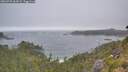 ./images/calvert/foggy-cove/20260722/foggy-cove20260722_062002M.jpg