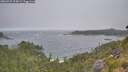 ./images/calvert/foggy-cove/20260722/foggy-cove20260722_074502M.jpg