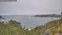 ./images/calvert/foggy-cove/20260722/foggy-cove20260722_075002M.jpg