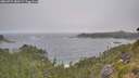 ./images/calvert/foggy-cove/20260722/foggy-cove20260722_080502M.jpg