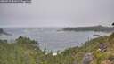 ./images/calvert/foggy-cove/20260722/foggy-cove20260722_081002M.jpg