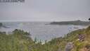./images/calvert/foggy-cove/20260722/foggy-cove20260722_081501M.jpg