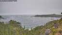 ./images/calvert/foggy-cove/20260722/foggy-cove20260722_082501M.jpg