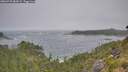 ./images/calvert/foggy-cove/20260722/foggy-cove20260722_083001M.jpg