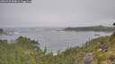 ./images/calvert/foggy-cove/20260722/foggy-cove20260722_084002M.jpg