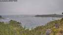./images/calvert/foggy-cove/20260722/foggy-cove20260722_084501M.jpg