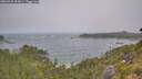 ./images/calvert/foggy-cove/20260722/foggy-cove20260722_093001M.jpg