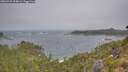 ./images/calvert/foggy-cove/20260722/foggy-cove20260722_094001M.jpg