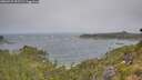 ./images/calvert/foggy-cove/20260722/foggy-cove20260722_095502M.jpg