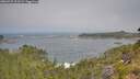 ./images/calvert/foggy-cove/20260722/foggy-cove20260722_103501M.jpg